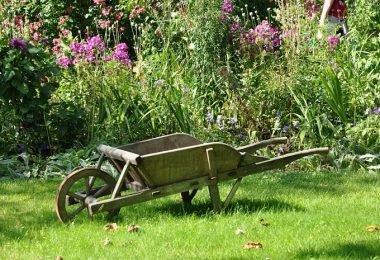 Cómo prevenir el crecimeinto de las malas hierbas en el jardín
