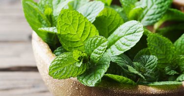 Beneficios menta piperita