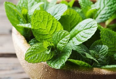 Beneficios menta piperita