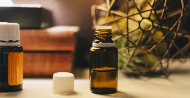 Conoce los beneficios del aceite de jojoba