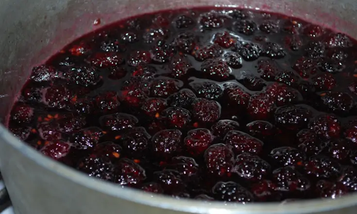 jarabe de moras