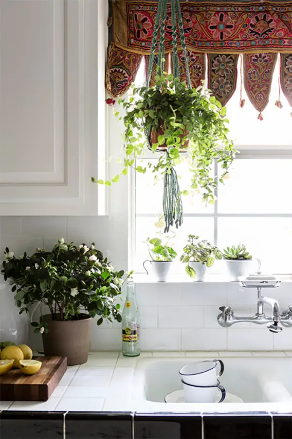 decorar con plantas colgantes