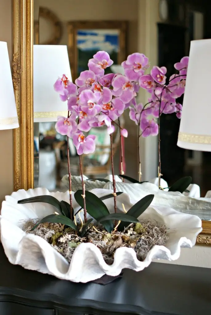 decorar con plantas orquídeas