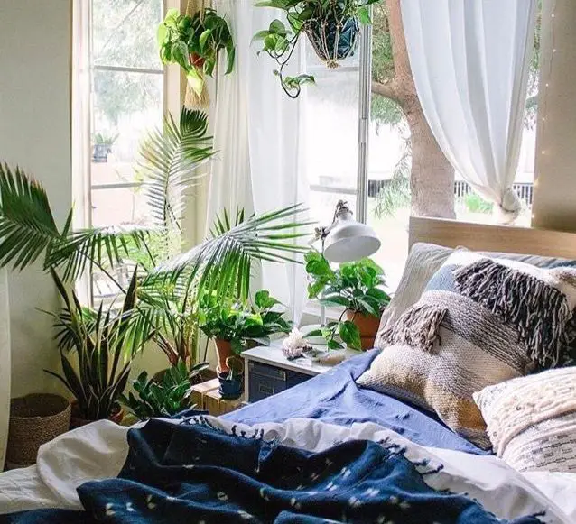 decorar una habitación con plantas