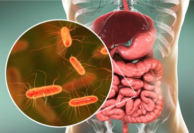 Descubriendo la relación entre el microbioma y la diabetes y otros padecimientos