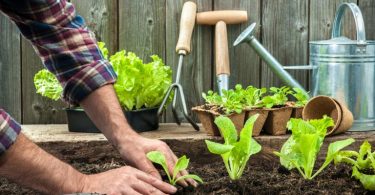 Cómo vivir de forma más sostenible