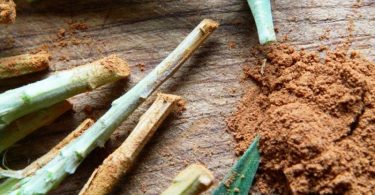 Aplicando canela a las plantas