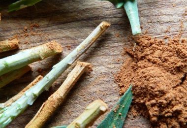 Aplicando canela a las plantas
