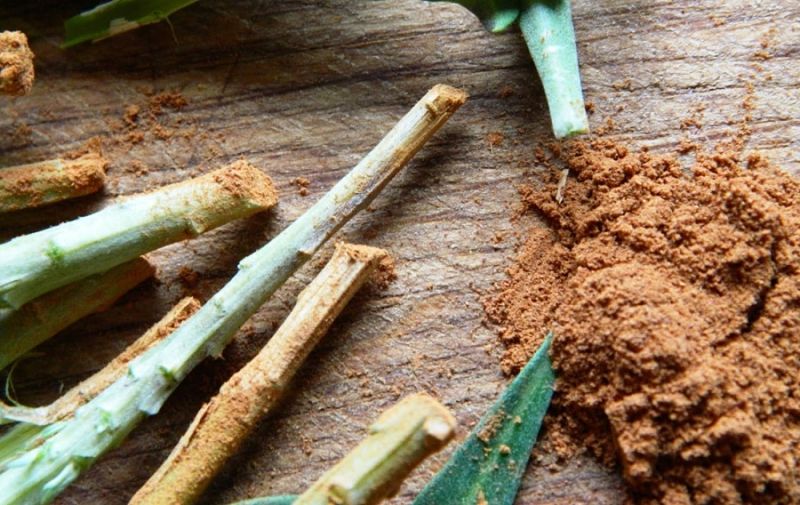 Aplicando canela a las plantas