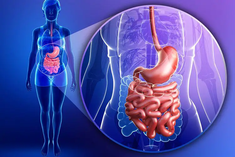 inflamación intestinal