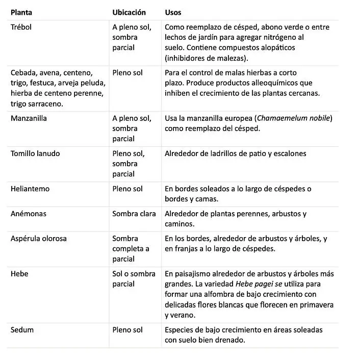 controlando la maleza o malas hierbas