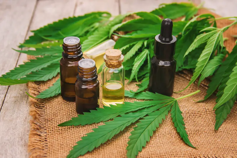 Conoce los beneficios del aceite de CBD