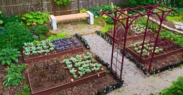 Cómo cultivar un jardín en casa