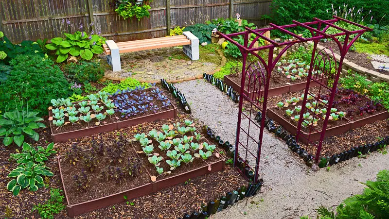 Cómo cultivar un jardín en casa