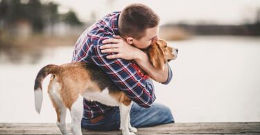 Hombre con mascota apoyo emocional