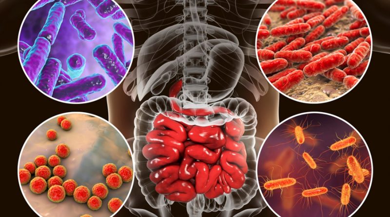 Relación entre intestino permeable y aumento de peso