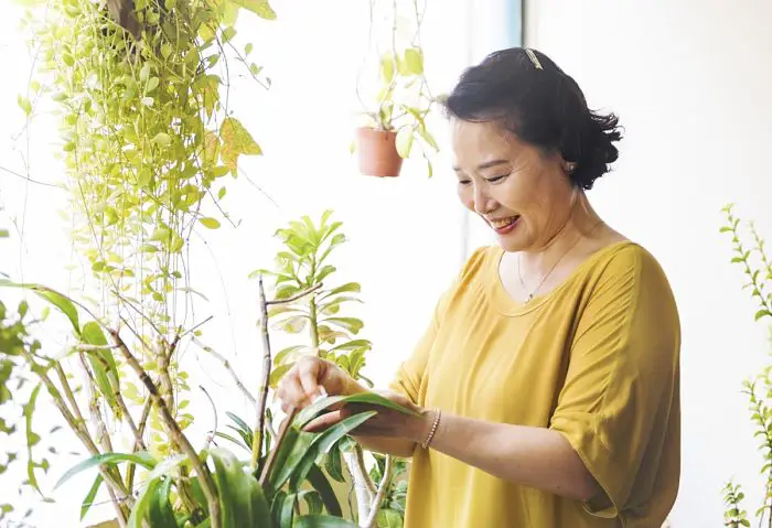 Mujer y plantas naturaleza en casa