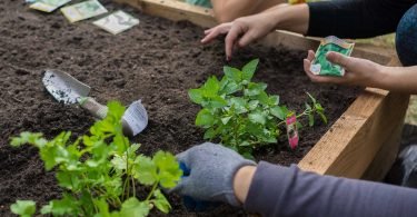 Los mejores ingredientes para poner en la tierra de nuestro jardín