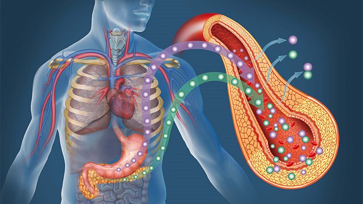 Cómo prevenir la diabetes tipo 2 desde la medicina funcional