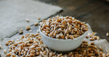 Conociendo los beneficios de agregar germen de trigo a la dieta