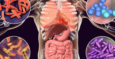 Daños a la flora intestinal por los antibióticos