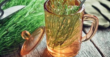 Infusiones que ayudan a aumentar el colageno de forma natural