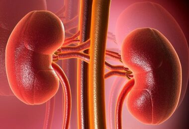 La dieta y el desarrollo de la enfermedad renal crónica