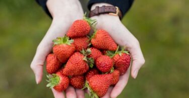 Beneficios de comer fresas