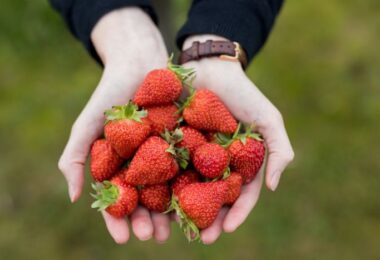 Beneficios de comer fresas