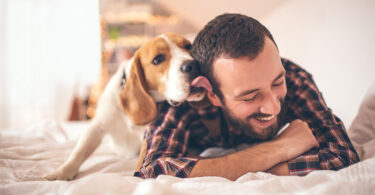 Lecciones de vida que podemos aprender de los perros