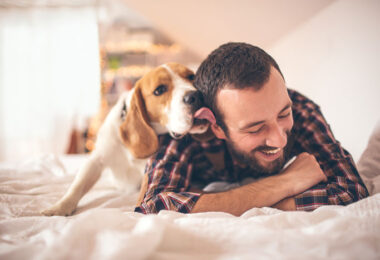 Lecciones de vida que podemos aprender de los perros
