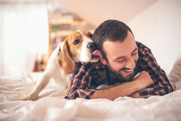 Lecciones de vida que podemos aprender de los perros