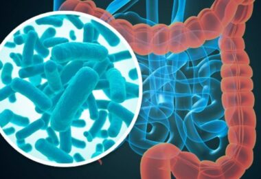 El microbioma y kla calidad del sueño