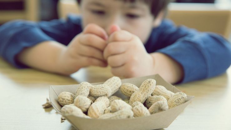 sensibilidad a los alimentos