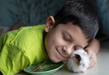 Niño junto a su mascota