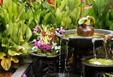 Feng. Shui en la decoracion del jardin
