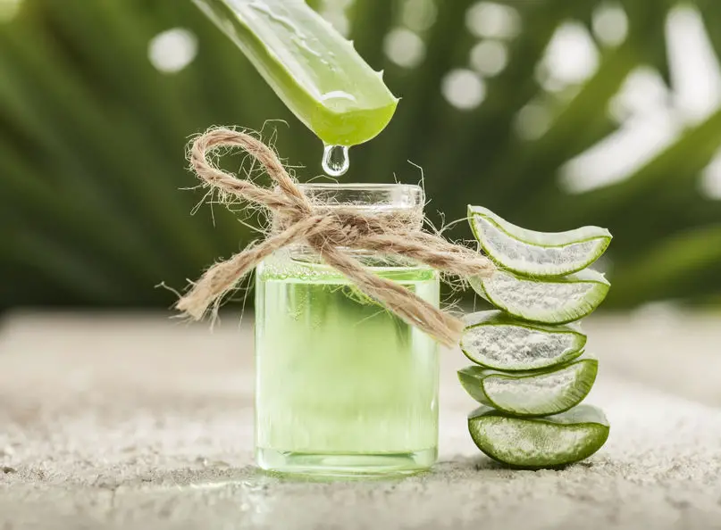 Beneficios del aloe vera contra el acné y las arrugas