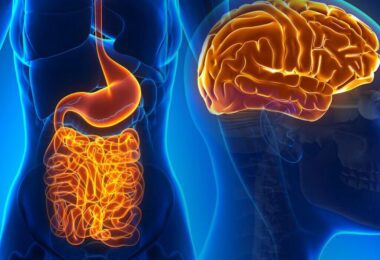 microbiota t cerebro