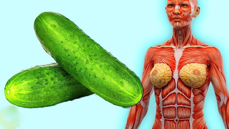 efecto secundario en la salud del cuerpo de los pepinos