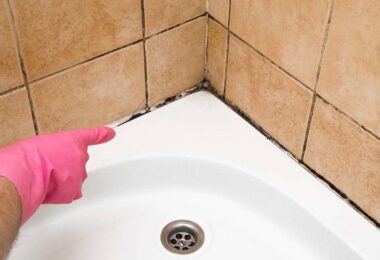 Cómo eliminar el moho del baño de forma segura