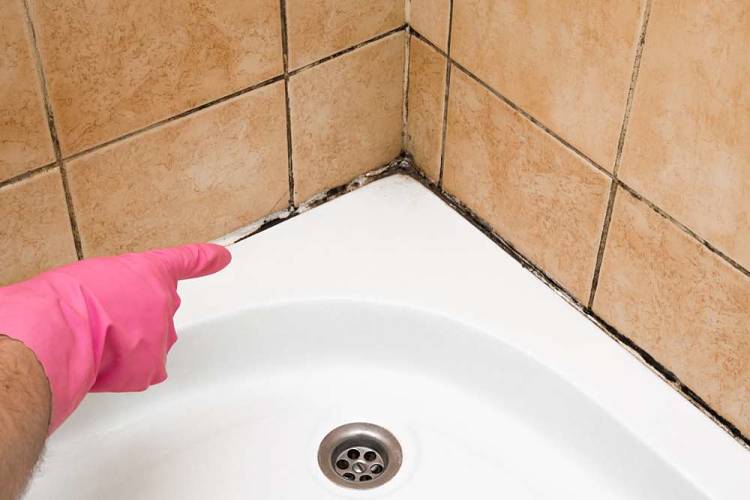 Cómo eliminar el moho del baño de forma segura