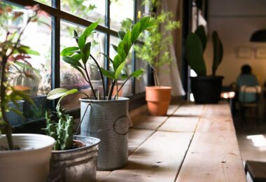 Un hogar más sostenible y ecológico