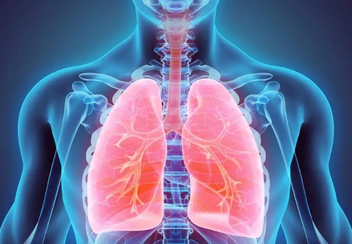 pulmones fuertes y saludables