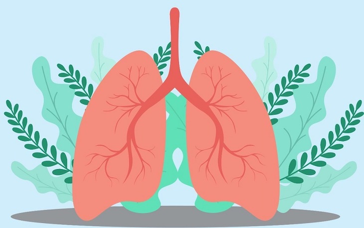salud de los pulmones