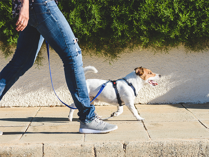 Una mujer caminando con su mascota