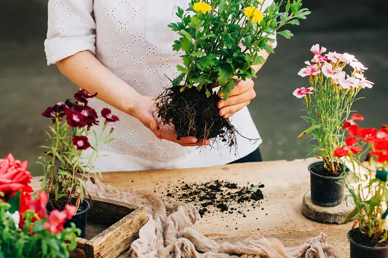 La jardinería y otras actividades para reducir el estrés