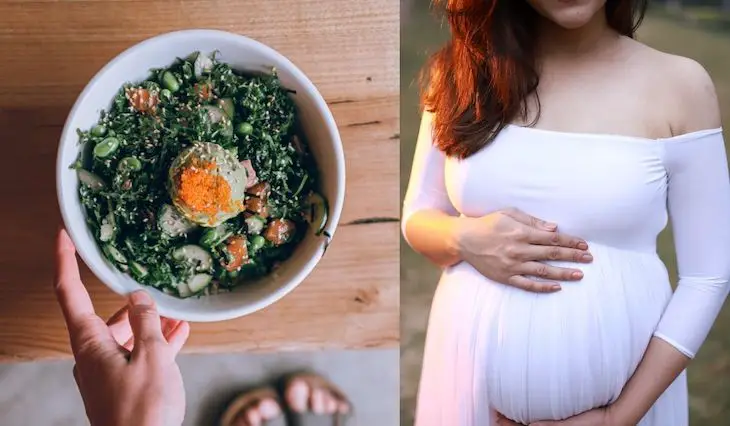 la dieta para quedar embarazaada con alimentos altos en nutrientes