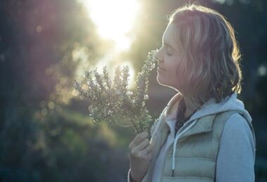 Plantas para estimular la memoria