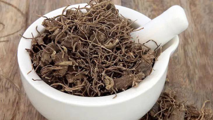 hierba cohosh negro eficaz para la menopausia