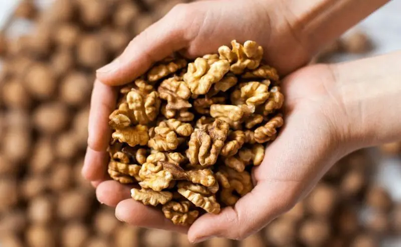 Alimentos que mejoran la memoria
